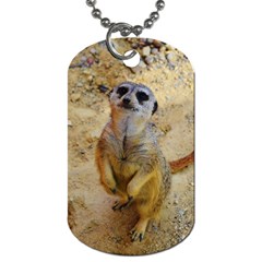 Lovely Meerkat 515p Dog Tag (two Sides) by ImpressiveMoments
