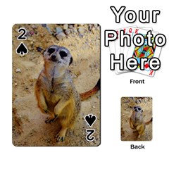 Lovely Meerkat 515p Playing Cards 54 Designs  by ImpressiveMoments