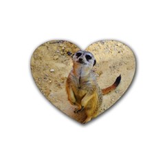 Lovely Meerkat 515p Rubber Coaster (heart)  by ImpressiveMoments