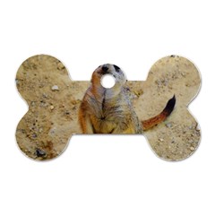 Lovely Meerkat 515p Dog Tag Bone (one Side) by ImpressiveMoments