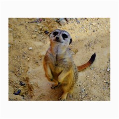 Lovely Meerkat 515p Small Glasses Cloth (2-side) by ImpressiveMoments