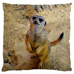 Lovely Meerkat 515p Large Cushion Cases (two Sides)  by ImpressiveMoments