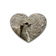 Adorable Meerkat Rubber Coaster (heart)  by ImpressiveMoments