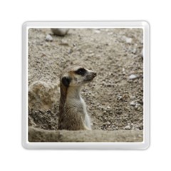 Adorable Meerkat Memory Card Reader (square)  by ImpressiveMoments