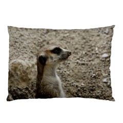 Adorable Meerkat Pillow Cases (two Sides) by ImpressiveMoments