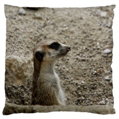 Adorable Meerkat Large Cushion Cases (two Sides)  by ImpressiveMoments