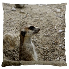 Adorable Meerkat Standard Flano Cushion Cases (two Sides)  by ImpressiveMoments