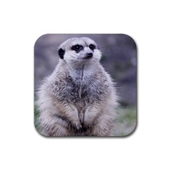 Adorable Meerkat 03 Rubber Coaster (square)  by ImpressiveMoments