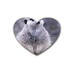 Adorable Meerkat 03 Heart Coaster (4 Pack)  by ImpressiveMoments