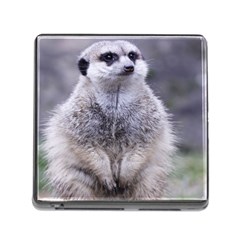Adorable Meerkat 03 Memory Card Reader (square) by ImpressiveMoments