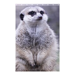 Adorable Meerkat 03 Shower Curtain 48  X 72  (small)  by ImpressiveMoments