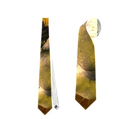 The Forgotten World In The Sky Neckties (two Side) 