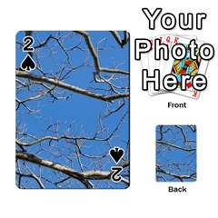 Leafless Tree Branches Against Blue Sky Playing Cards 54 Designs 