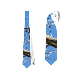 Leafless Tree Branches Against Blue Sky Neckties (one Side)  by dflcprints
