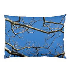 Leafless Tree Branches Against Blue Sky Pillow Cases by dflcprints