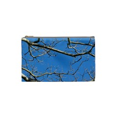 Leafless Tree Branches Against Blue Sky Cosmetic Bag (small)  by dflcprints