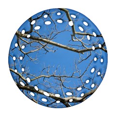 Leafless Tree Branches Against Blue Sky Ornament (round Filigree)  by dflcprints