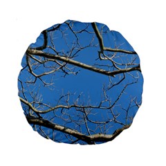 Leafless Tree Branches Against Blue Sky Standard 15  Premium Round Cushions by dflcprints