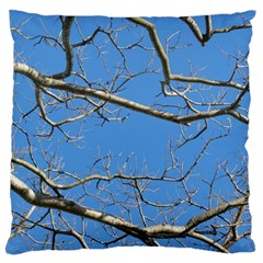 Leafless Tree Branches Against Blue Sky Standard Flano Cushion Cases (two Sides)  by dflcprints