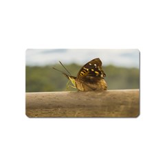 Butterfly Against Blur Background At Iguazu Park Magnet (name Card) by dflcprints