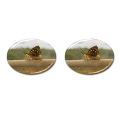 Butterfly Against Blur Background At Iguazu Park Cufflinks (oval) by dflcprints