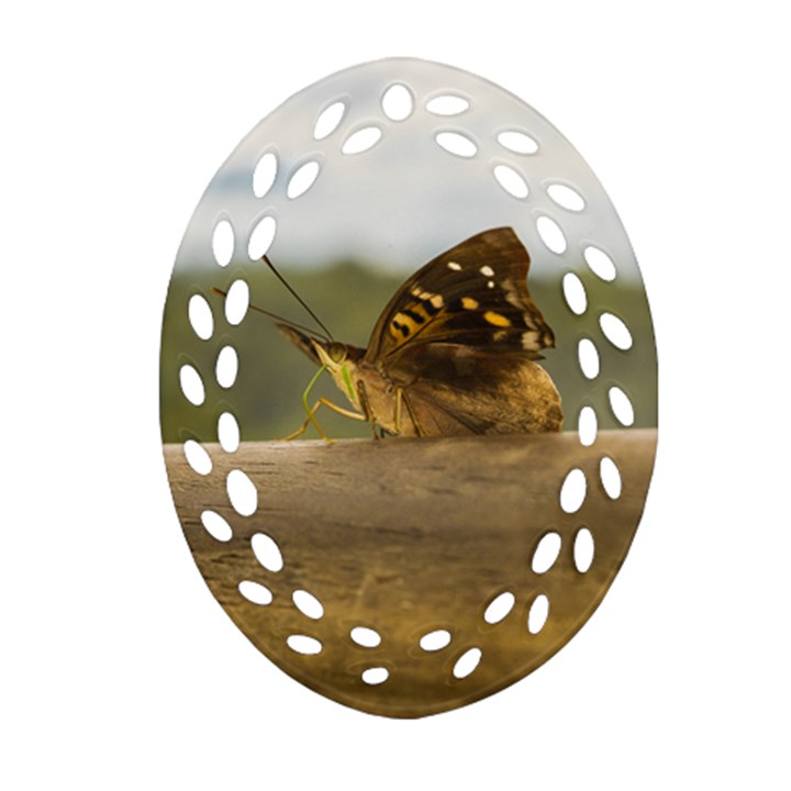 Butterfly against Blur Background at Iguazu Park Oval Filigree Ornament (2-Side) 