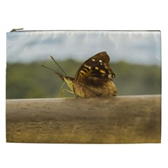 Butterfly Against Blur Background At Iguazu Park Cosmetic Bag (xxl)  by dflcprints