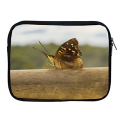 Butterfly Against Blur Background At Iguazu Park Apple Ipad 2/3/4 Zipper Cases by dflcprints