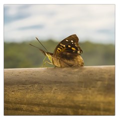 Butterfly Against Blur Background At Iguazu Park Large Satin Scarf (square)