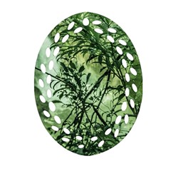 Jungle View At Iguazu National Park Ornament (oval Filigree)  by dflcprints