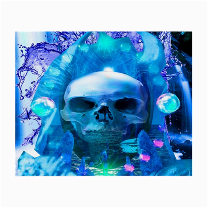 Skull Worship Small Glasses Cloth