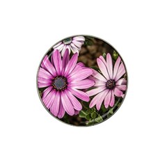 Beautiful Colourful African Daisies  Hat Clip Ball Marker by OZMedia