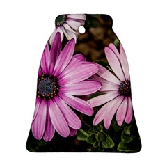 Beautiful Colourful African Daisies  Bell Ornament (2 Sides) by OZMedia