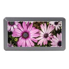 Beautiful Colourful African Daisies  Memory Card Reader (mini) by OZMedia