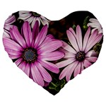 Beautiful Colourful African Daisies  Large 19  Premium Heart Shape Cushions Front