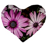 Beautiful Colourful African Daisies  Large 19  Premium Heart Shape Cushions Back