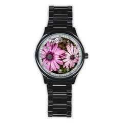 Beautiful Colourful African Daisies  Stainless Steel Round Watches