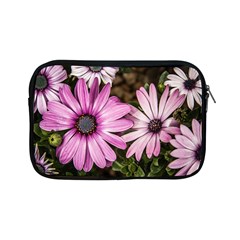 Beautiful Colourful African Daisies  Apple Ipad Mini Zipper Cases by OZMedia