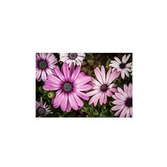 Beautiful Colourful African Daisies  Satin Wrap