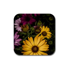 Beautiful Colourful African Daisies  Rubber Square Coaster (4 Pack) 