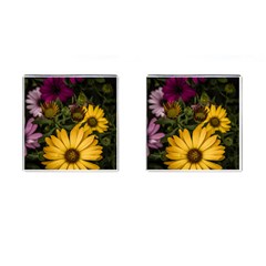 Beautiful Colourful African Daisies  Cufflinks (square) by OZMedia