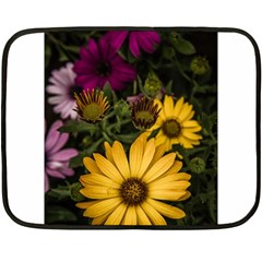 Beautiful Colourful African Daisies  Fleece Blanket (mini) by OZMedia