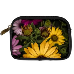 Beautiful Colourful African Daisies  Digital Camera Cases