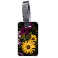 Beautiful Colourful African Daisies  Luggage Tags (two Sides) by OZMedia