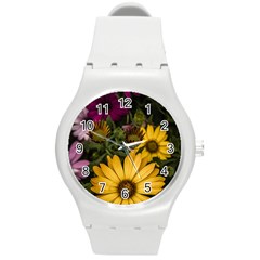 Beautiful Colourful African Daisies  Round Plastic Sport Watch (m) by OZMedia