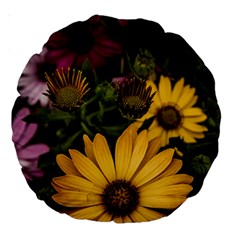 Beautiful Colourful African Daisies  Large 18  Premium Round Cushions by OZMedia