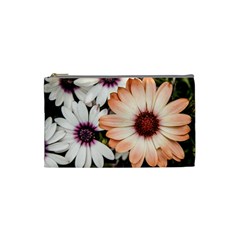 Beautiful Colourful African Daisies Cosmetic Bag (small)  by OZMedia