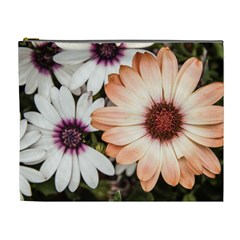 Beautiful Colourful African Daisies Cosmetic Bag (xl) by OZMedia