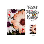 Beautiful Colourful African Daisies Playing Cards 54 (Mini)  Front - Heart3