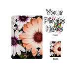 Beautiful Colourful African Daisies Playing Cards 54 (Mini)  Front - Club3